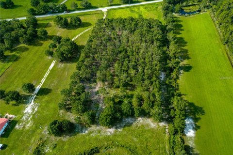 Land in Myakka City, Florida № 1842121 - photo 3