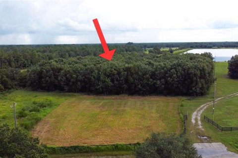 Land in Myakka City, Florida № 1842121 - photo 2