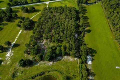 Land in Myakka City, Florida № 1842121 - photo 4