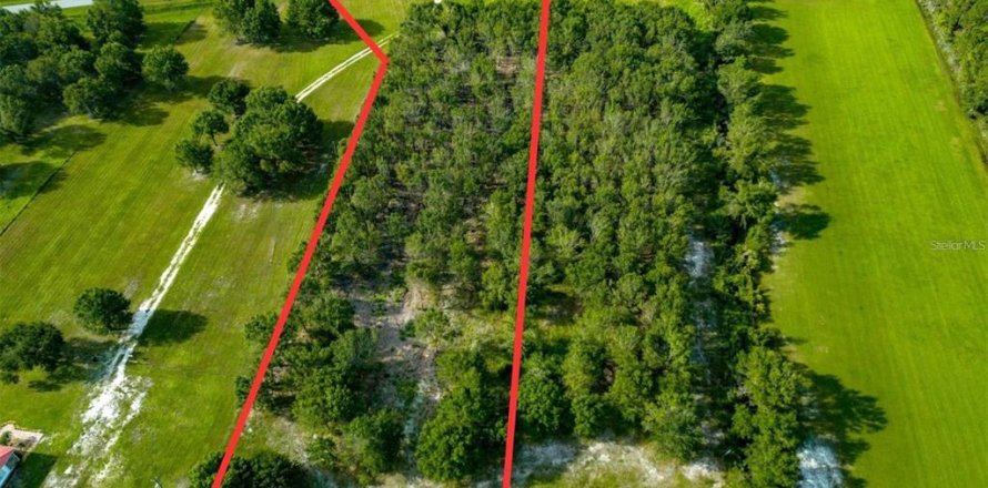 Land in Myakka City, Florida № 1842121