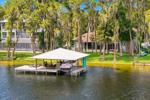 Villa ou maison à vendre à Lutz, Floride: 4 chambres, 396.51 m2 № 2388568 - photo 7