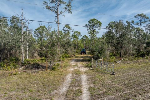 Land in Punta Gorda, Florida № 1544654 - photo 10