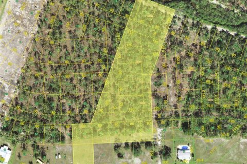 Land in Punta Gorda, Florida № 1544654 - photo 1