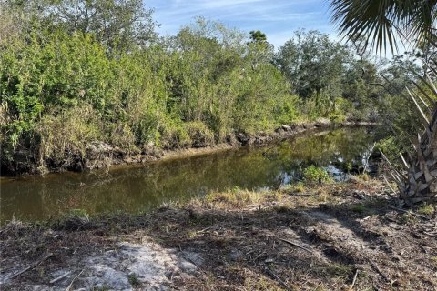 Land in Punta Gorda, Florida № 1544654 - photo 3