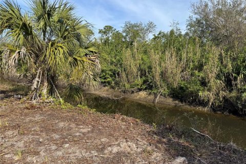 Land in Punta Gorda, Florida № 1544654 - photo 4