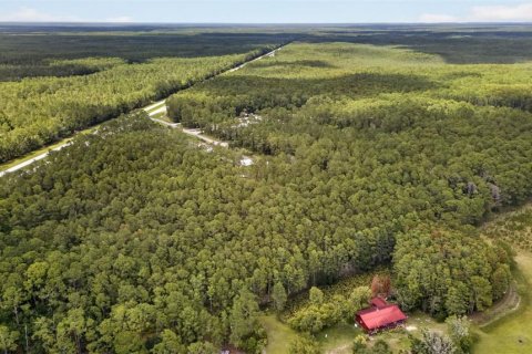 Terreno en venta en DeLand, Florida № 2112653 - foto 22