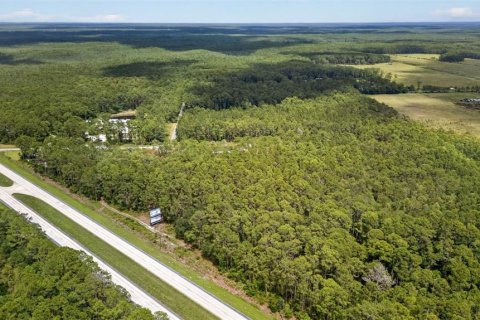 Terreno en venta en DeLand, Florida № 2112653 - foto 18