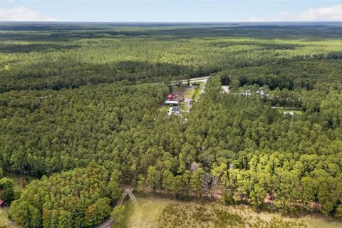 Terreno en venta en DeLand, Florida № 2112653 - foto 6