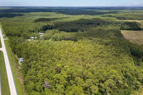Terreno en venta en DeLand, Florida № 2112653 - foto 19
