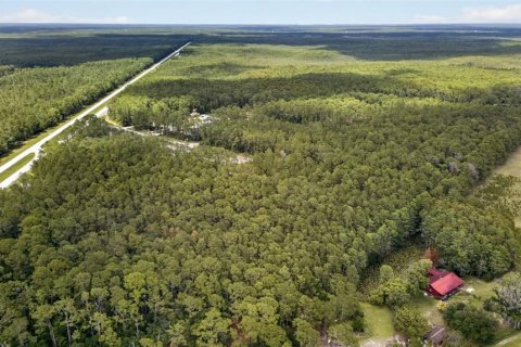 Terreno en venta en DeLand, Florida № 2112653 - foto 21