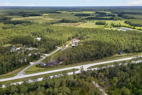 Terreno en venta en DeLand, Florida № 2112653 - foto 13