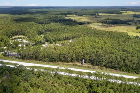 Terreno en venta en DeLand, Florida № 2112653 - foto 16