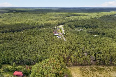 Terreno en venta en DeLand, Florida № 2112653 - foto 4