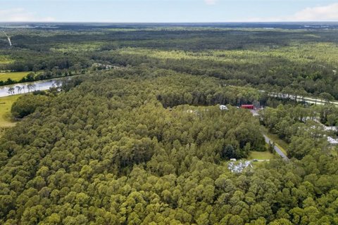 Terreno en venta en DeLand, Florida № 2112653 - foto 8