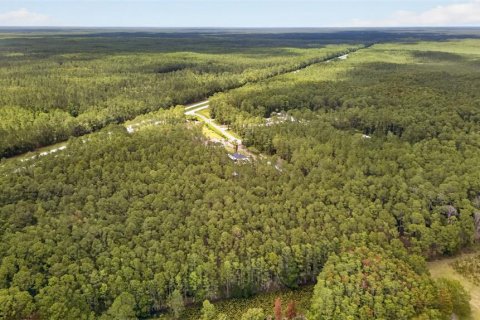 Terreno en venta en DeLand, Florida № 2112653 - foto 2