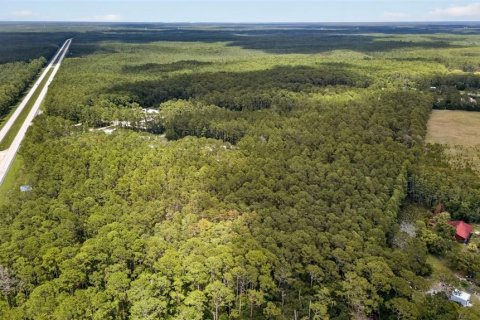 Terreno en venta en DeLand, Florida № 2112653 - foto 20