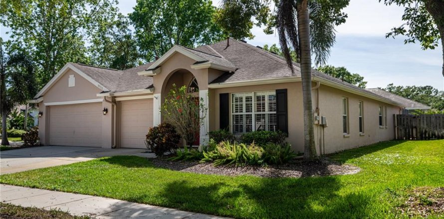 Villa ou maison à Tampa, Floride 4 chambres, 241.36 m2 № 2092740