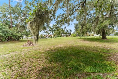 Купить земельный участок в Темпл-Террас, Флорида № 1905692 - фото 5