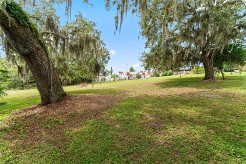 Купить земельный участок в Темпл-Террас, Флорида № 1905692 - фото 3