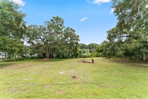 Купить земельный участок в Темпл-Террас, Флорида № 1905692 - фото 10