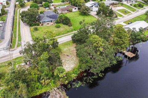 Купить земельный участок в Темпл-Террас, Флорида № 1905692 - фото 12