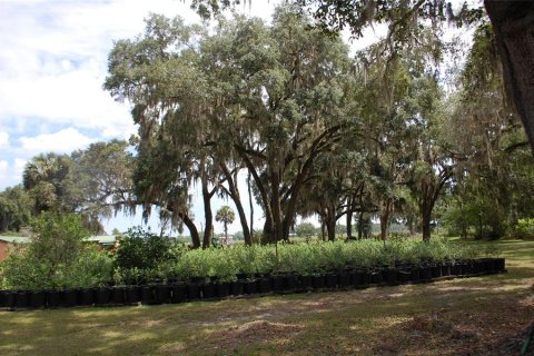 Propiedad comercial en venta en Hawthorne, Florida, 210.7 m2 № 1873089 - foto 20