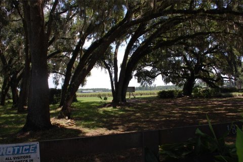 Propiedad comercial en venta en Hawthorne, Florida, 210.7 m2 № 1873089 - foto 28