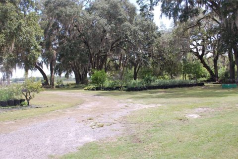 Propiedad comercial en venta en Hawthorne, Florida, 210.7 m2 № 1873089 - foto 10