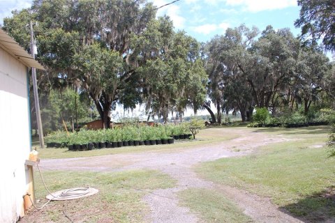 Propiedad comercial en venta en Hawthorne, Florida, 210.7 m2 № 1873089 - foto 7