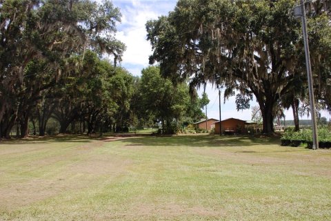 Propiedad comercial en venta en Hawthorne, Florida, 210.7 m2 № 1873089 - foto 21