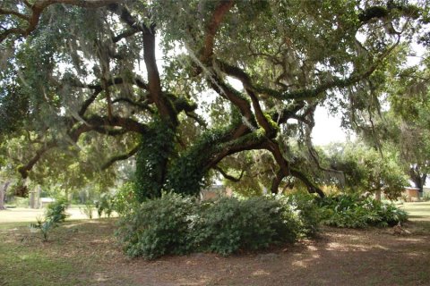 Propiedad comercial en venta en Hawthorne, Florida, 210.7 m2 № 1873089 - foto 3