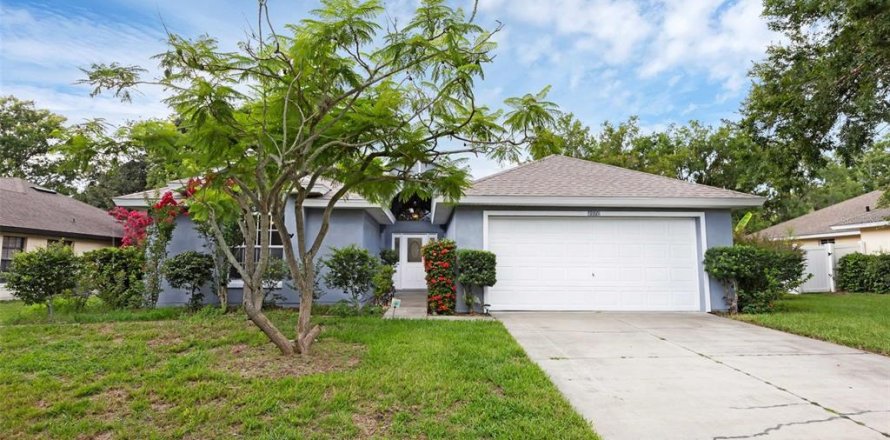 House in Tavares, Florida 4 bedrooms, 177.16 sq.m. № 1812539