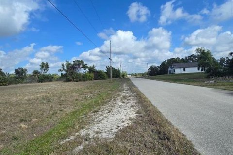 Terrain à vendre à Cape Coral, Floride № 2163365 - photo 8