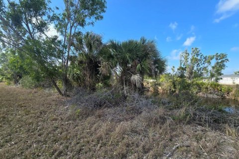 Terrain à vendre à Cape Coral, Floride № 2163365 - photo 17