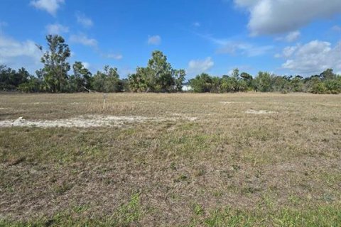 Terrain à vendre à Cape Coral, Floride № 2163365 - photo 2