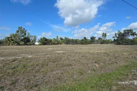 Terrain à vendre à Cape Coral, Floride № 2163365 - photo 12