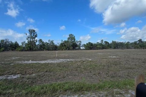 Terrain à vendre à Cape Coral, Floride № 2163365 - photo 3