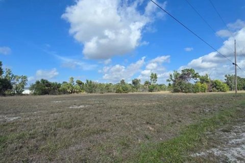 Terrain à vendre à Cape Coral, Floride № 2163365 - photo 5