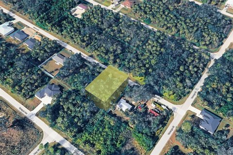 Land in Port Charlotte, Florida № 2158268 - photo 4