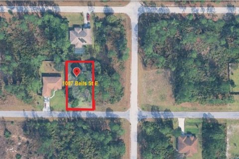 Land in Lehigh Acres, Florida № 2163404 - photo 2