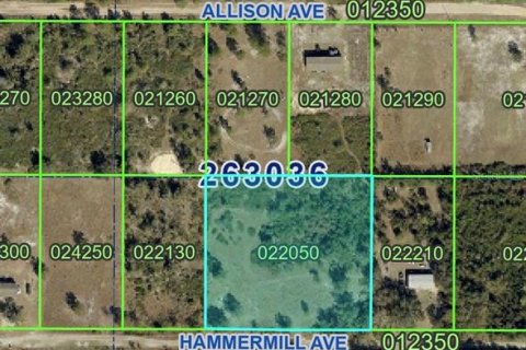 Land in Lake Wales, Florida № 2384485