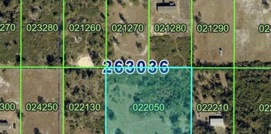 Land in Lake Wales, Florida № 2384485
