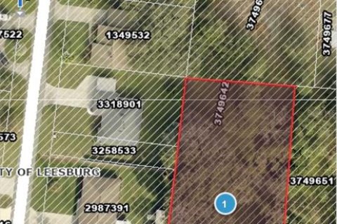 Terrain à Leesburg, Floride № 2143402