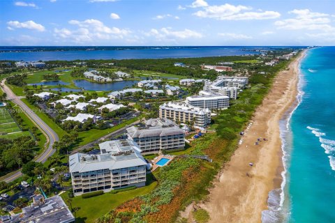 Condominio en alquiler en Hutchinson Island South, Florida, 1 dormitorio, 68.75 m2 № 2054309 - foto 23