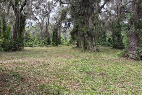 Terrain à vendre à Lake Panasoffkee, Floride № 1806914 - photo 3