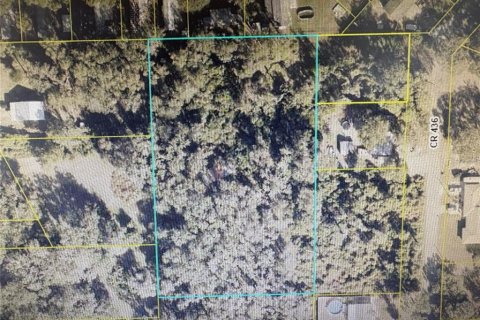 Terrain à vendre à Lake Panasoffkee, Floride № 1806914 - photo 7