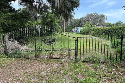 Terrain à vendre à Lake Panasoffkee, Floride № 1806914 - photo 1