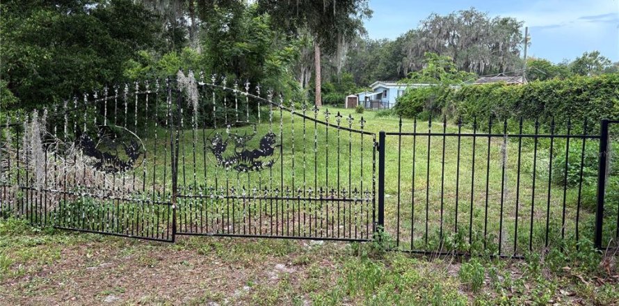 Terreno en Lake Panasoffkee, Florida № 1806914