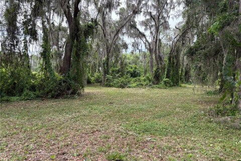 Terrain à vendre à Lake Panasoffkee, Floride № 1806914 - photo 2