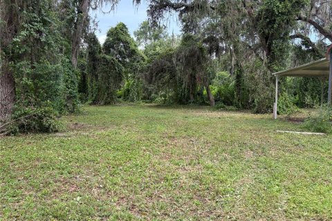 Terrain à vendre à Lake Panasoffkee, Floride № 1806914 - photo 4